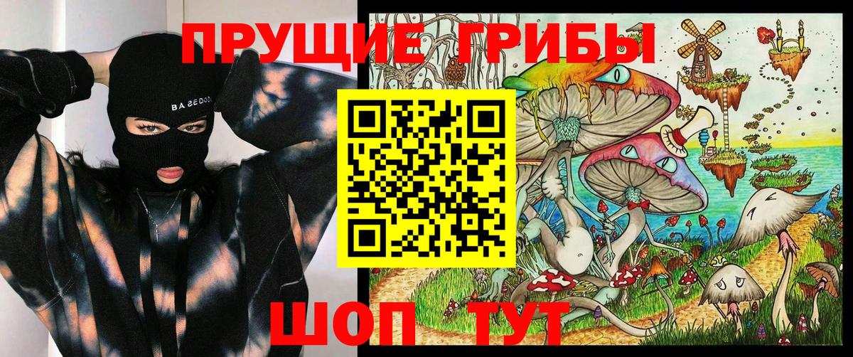 Псилоцибиновые грибы Psilocybine cubensis Георгиевск